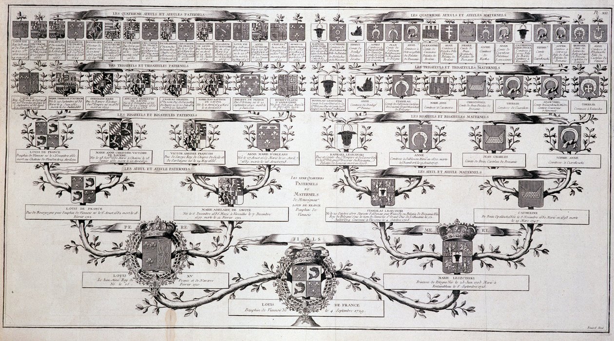 Rodokmen francouzského delfína, syna Ludvíka XV. a Marie Leczcinské - v “”Encyklopedie”” od Diderota od Unknown artist