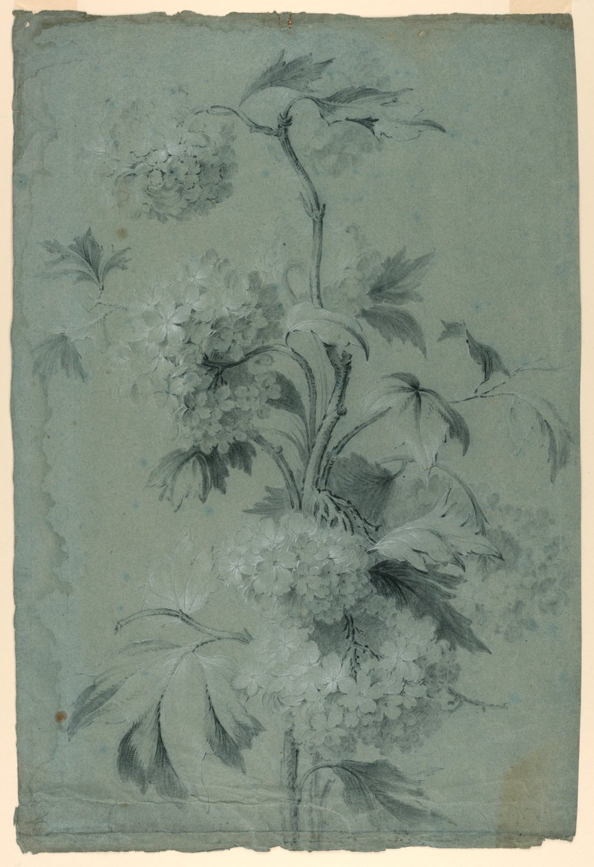 květinový design od Unknown artist