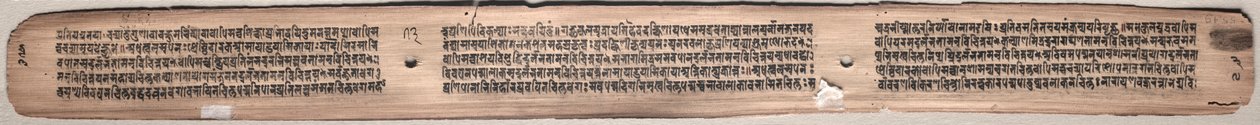 Folio 73 (verso), z Gandavyuha-sutry (Písmo Nejvyšší řady) od Unknown artist