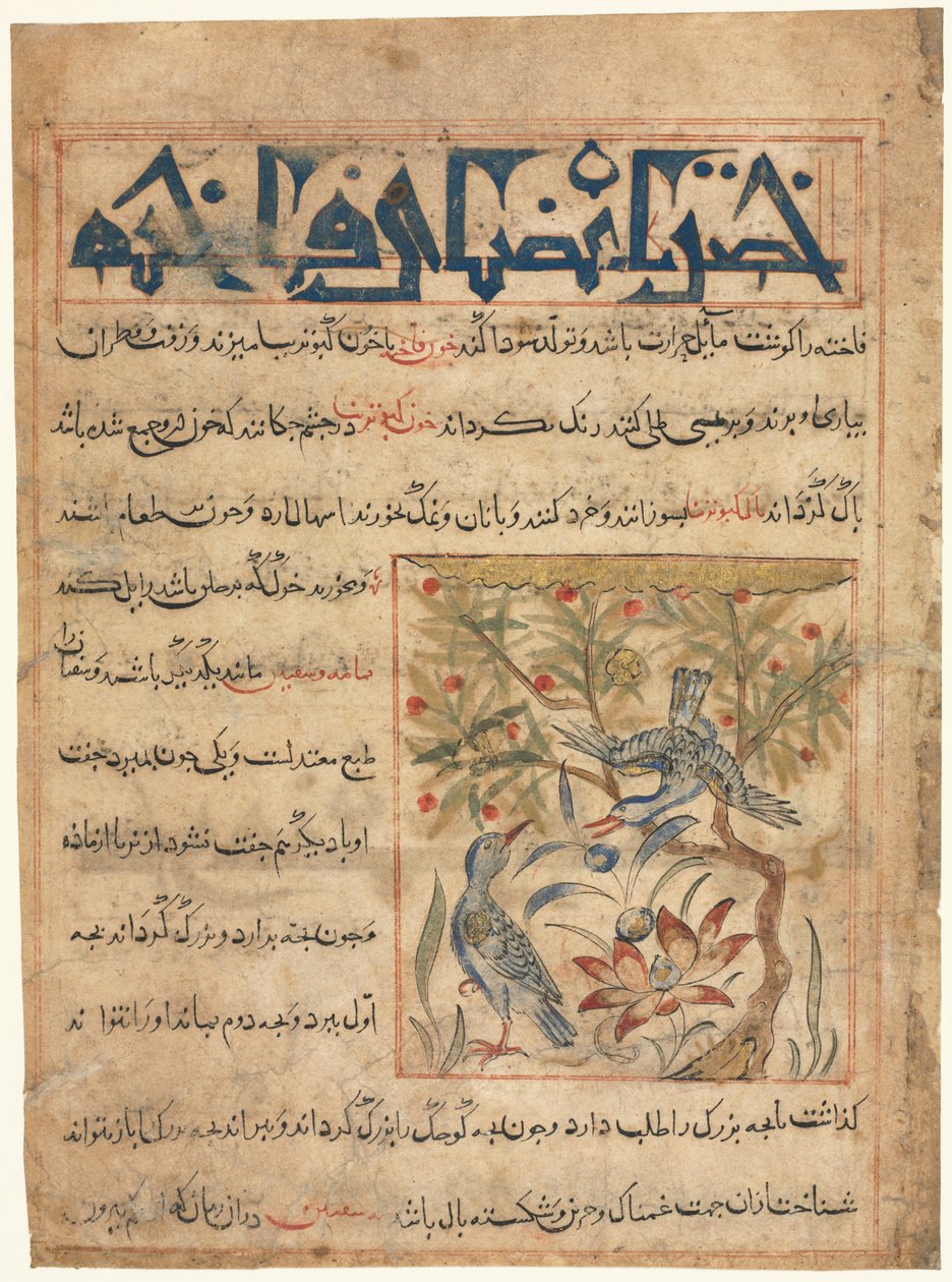 Folio z perského Manafi‘ al-Hayawan (Výhody zvířat) od Abu Saida Ubaid-Alláh ibn Jibrail ibn Bakhtishu (zemřel 1058–68) (vpravo) od Unknown artist