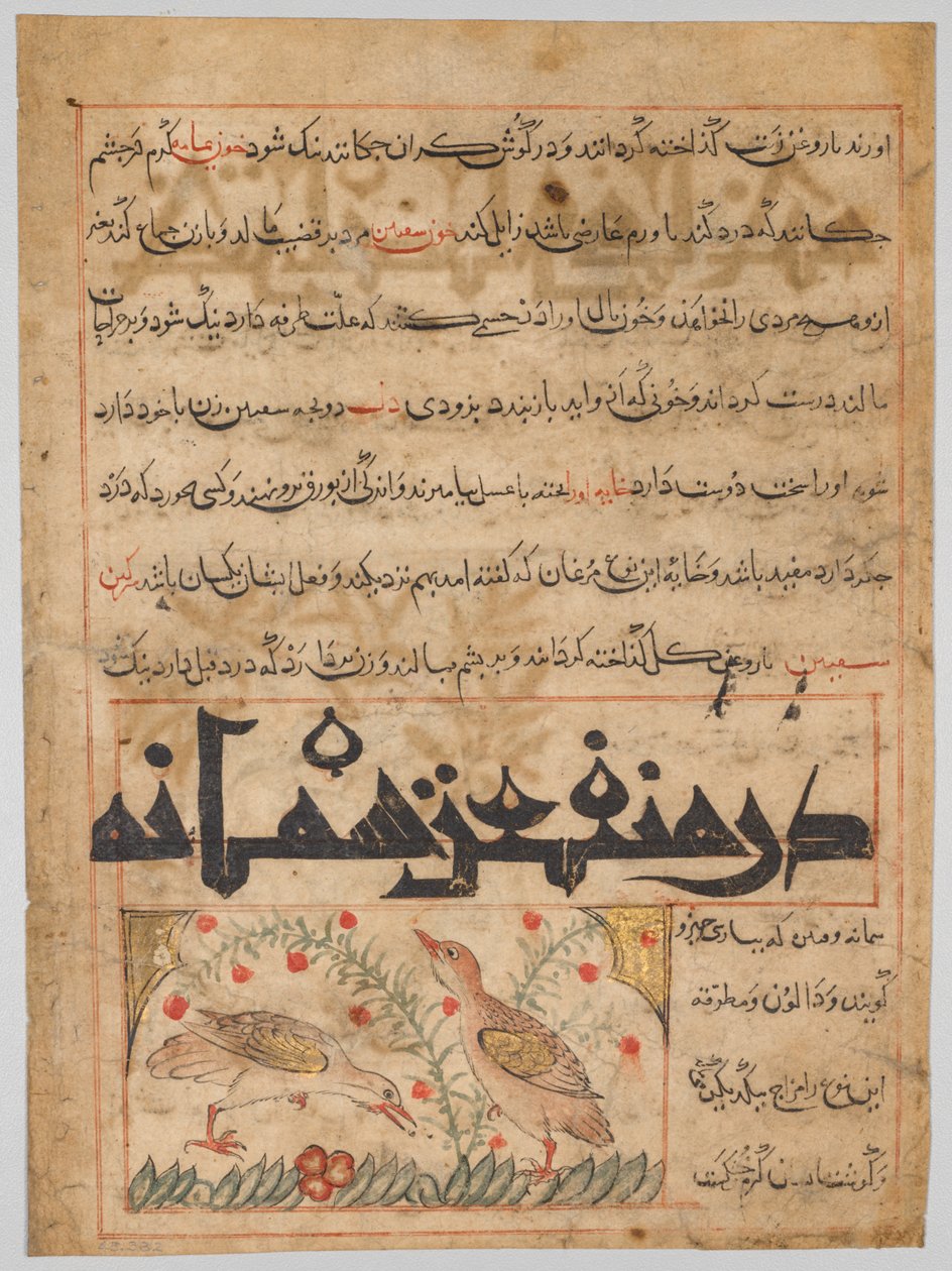 Folio z perského Manafi‘ al-Hayawan (Výhody zvířat) Abu Said Ubaid-Allah ibn Jibrail ibn Bakhtishu (zemřel 1058–68) (verze) od Unknown artist
