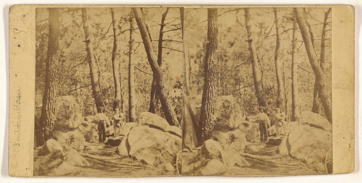 [Fontainebleau] od Unknown artist