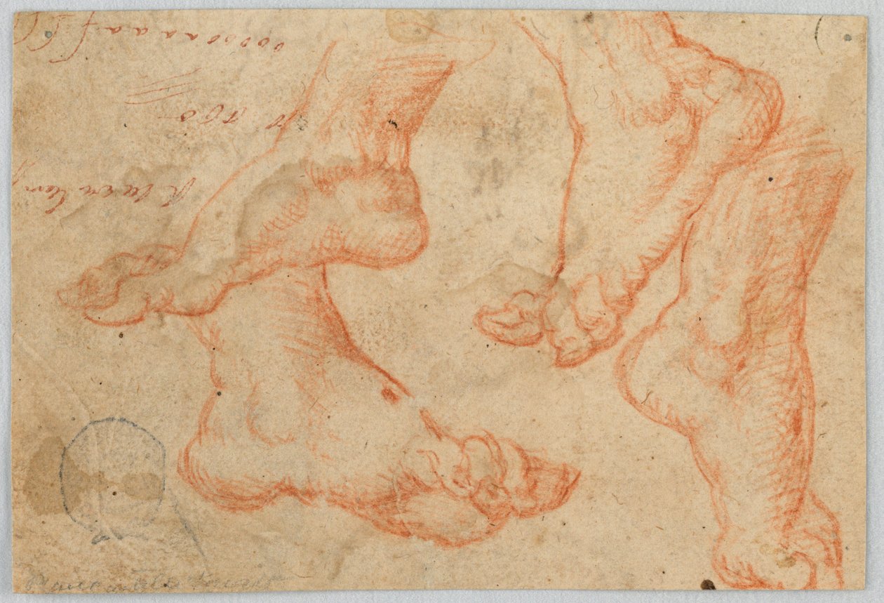 Čtyři studie nohy od Unknown artist