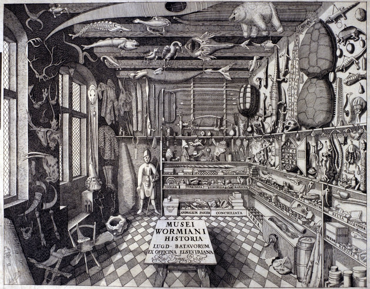 Frontispice „Musei Wormiani Historia““ ukazující interiér kabinetu kuriozit Oleho Worma nebo Olause Wormia od Unknown artist