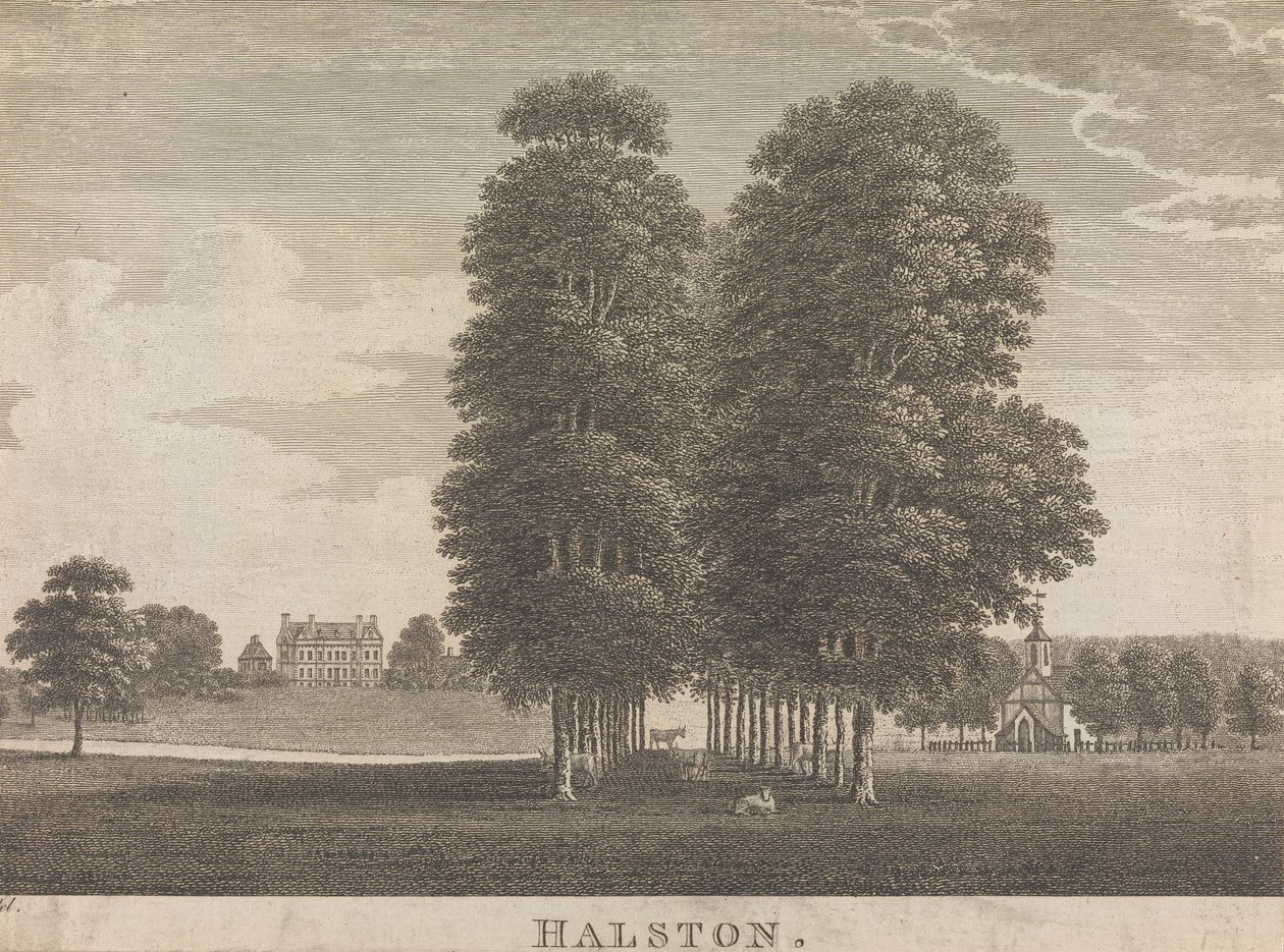 Halston; strana 22 (svazek druhý) od Unknown artist