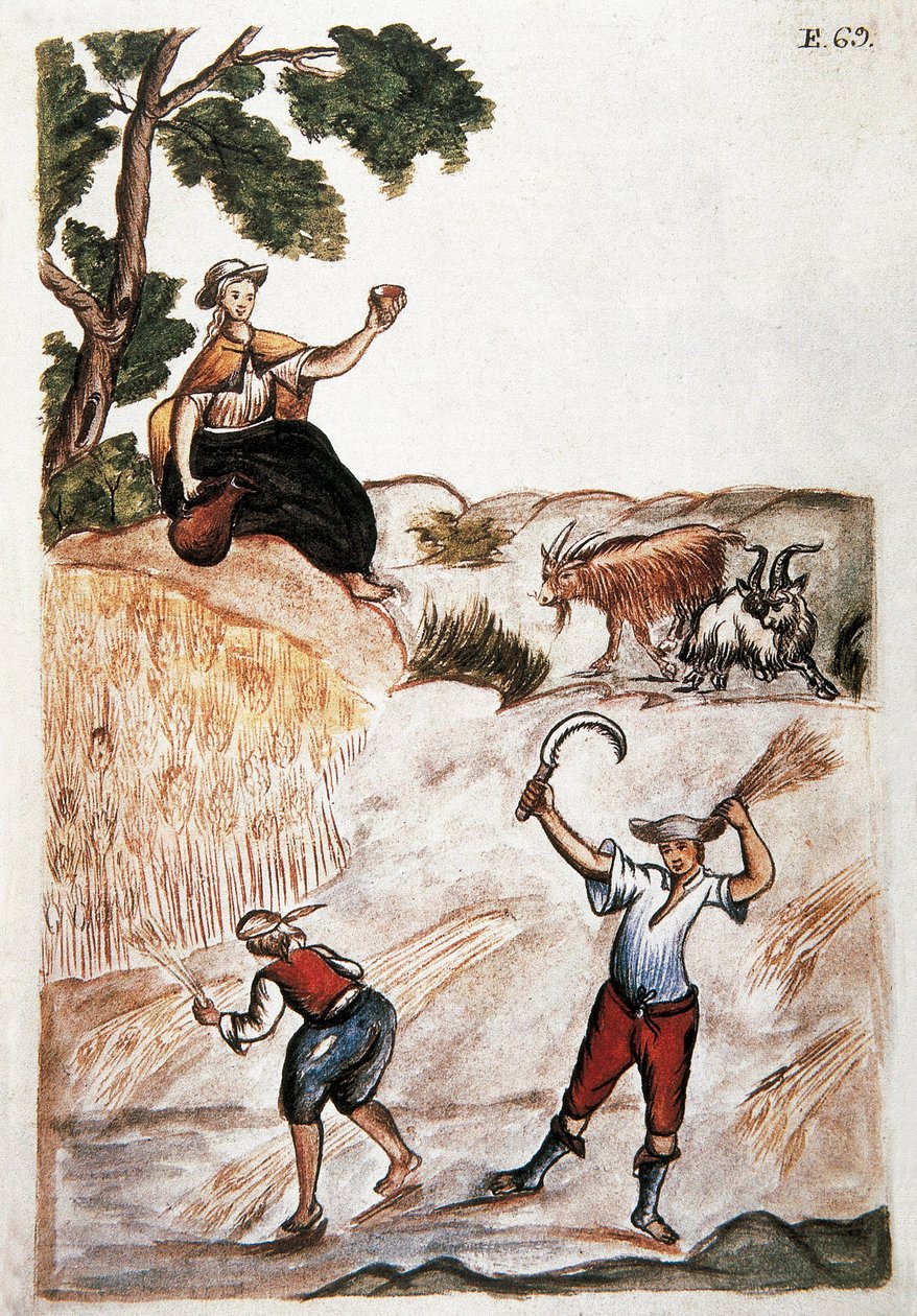 Sklizeň, indiáni z Peru pracující na polích. Akvarel z Madridu 18. století. Biblioteca del Palacio Real od Unknown artist