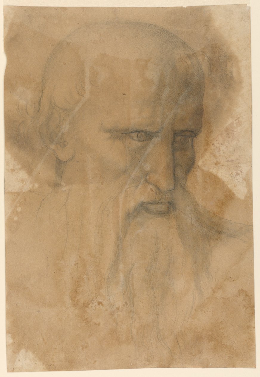Hlava staršího vousatého muže od Unknown artist
