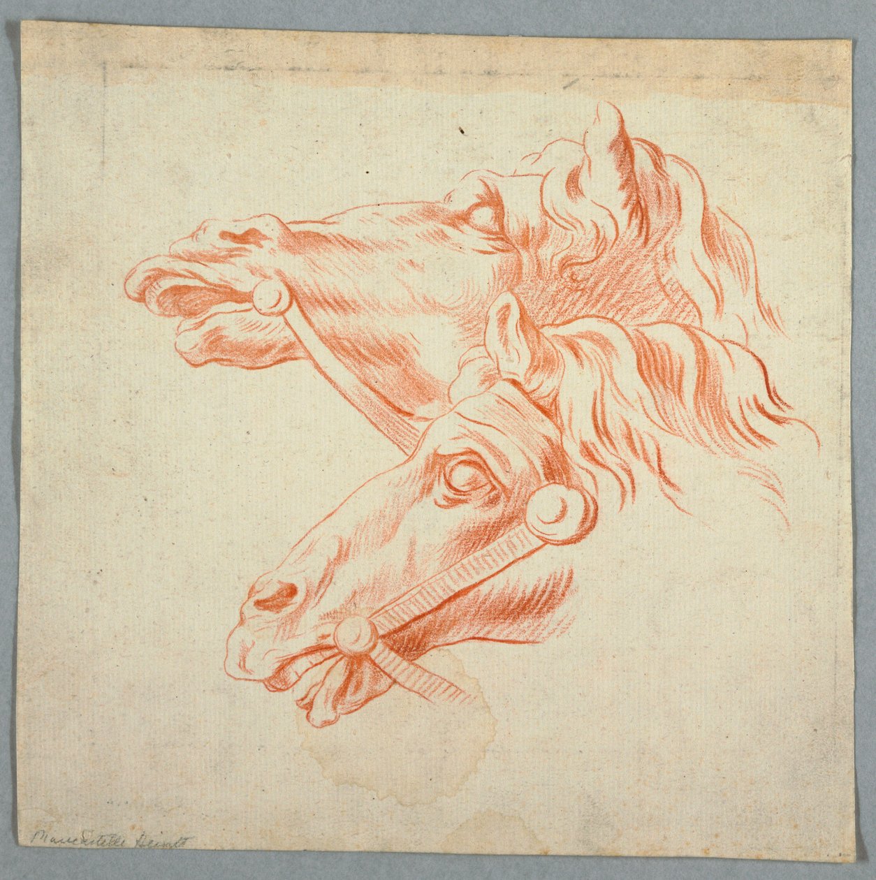 Studie o koních od Unknown artist