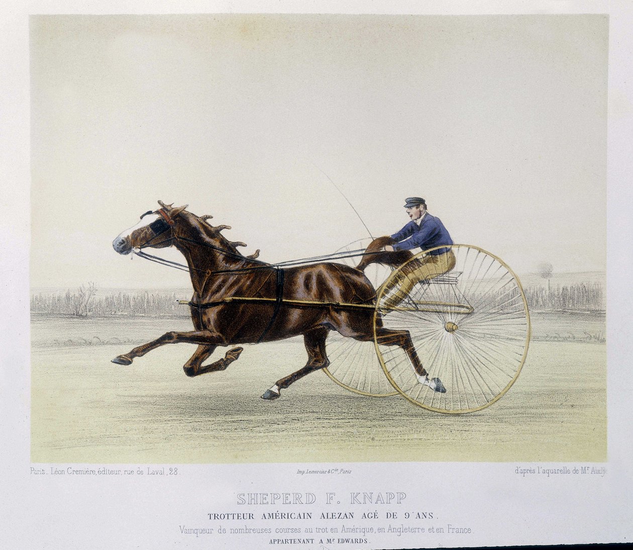 Jízda na koni: ovčák F. Knapp, klusák - v „“ kentaurovi““ od Unknown artist