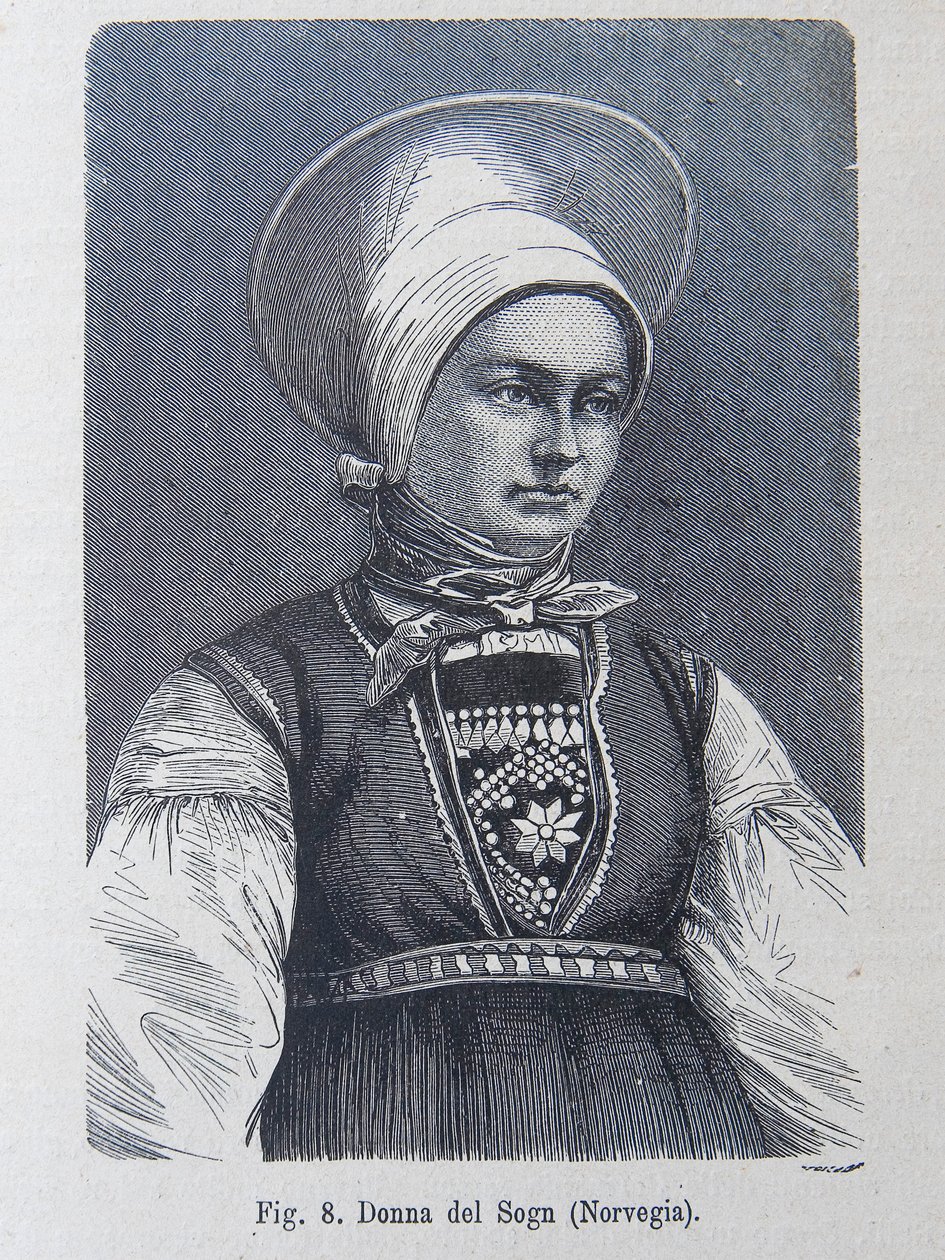 Ilustrace z "Lidská rasa" od Louise Figuiera od Unknown artist