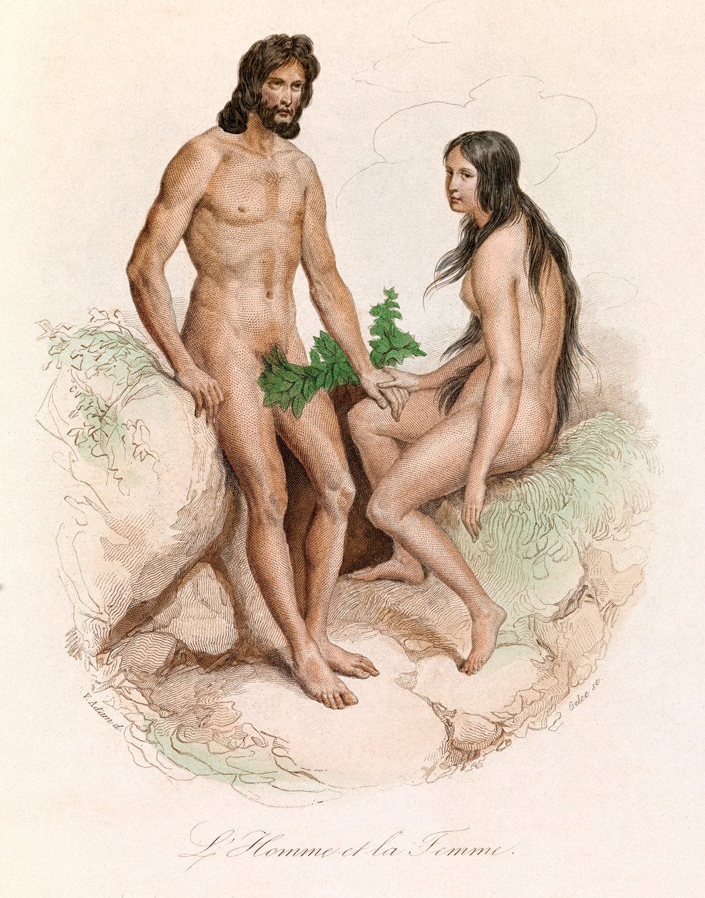 Ilustrace z knihy "Complete Works of Buffon": Přírodní dějiny člověka: (rytina): Muž a žena od Unknown artist