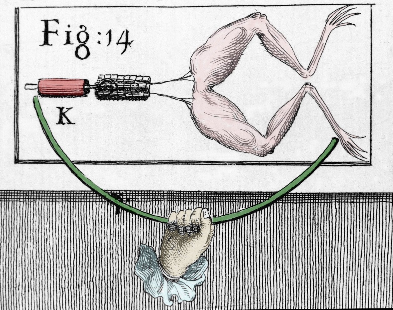 Ilustrace experimentů Luigiho Galvaniho, italského fyzika a lékaře (1737 - 1798) vysvětlujících průchod elektrického proudu pohybujícím se nohama žáby. od Unknown artist