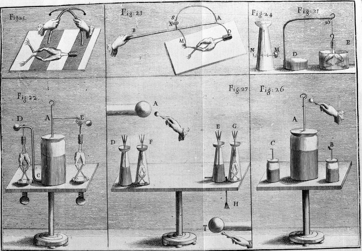 Ilustrace experimentů Luigiho Galvaniho, italského fyzika a lékaře (1737 - 1798) vysvětlujících průchod elektrického proudu pohybujícím se nohama žáby. od Unknown artist