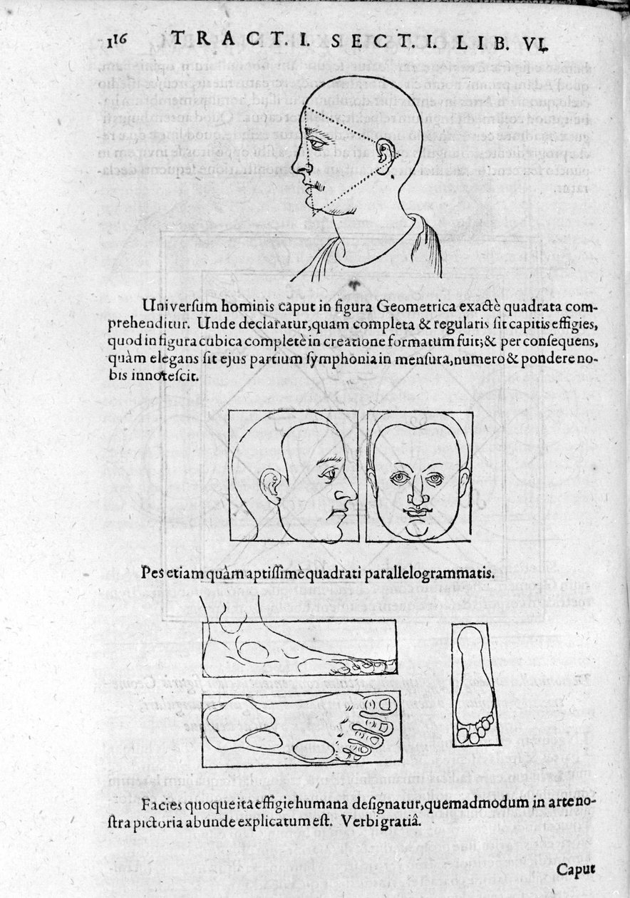Obrázek fyziognomie z "Collectio Operum" od Roberta Fludda (Robertus de Waves). Londýn 1617. od Unknown artist