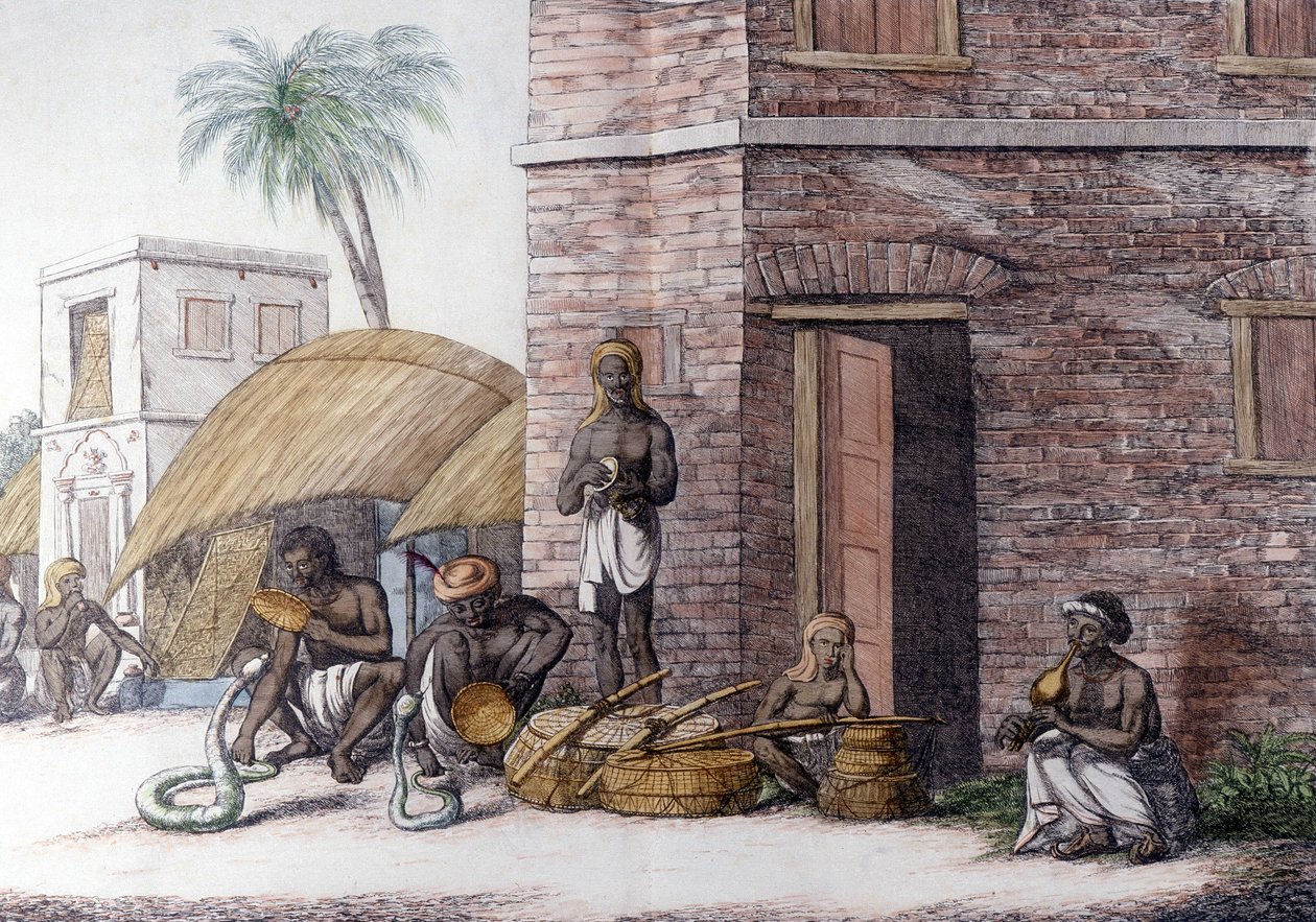 Indická kultura a civilizace: Zaklínači hadů v Indii. od Unknown artist