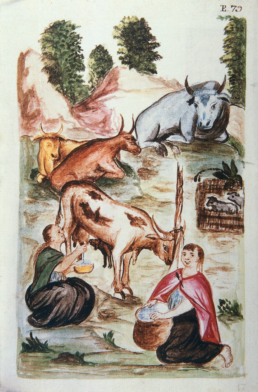 Indičtí pastevci pečující o krávy, z knihy "Trujillo del Peru" nebo "Códice Martínez Compañón", od Baltazara Martineze Compañóna y Bujandy, biskupa z Trujillo (1782-1785) od Unknown artist