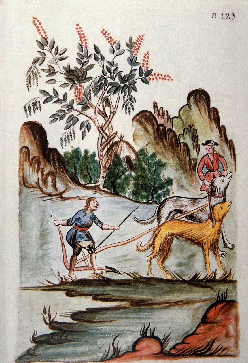 Indiáni orající pole se psy, z knihy „Trujillo del Peru“ nebo „Códice Martínez Compañón“, od Baltazara Martineze Compañóna y Bujandy, biskupa z Trujillo (1782-1785) od Unknown artist
