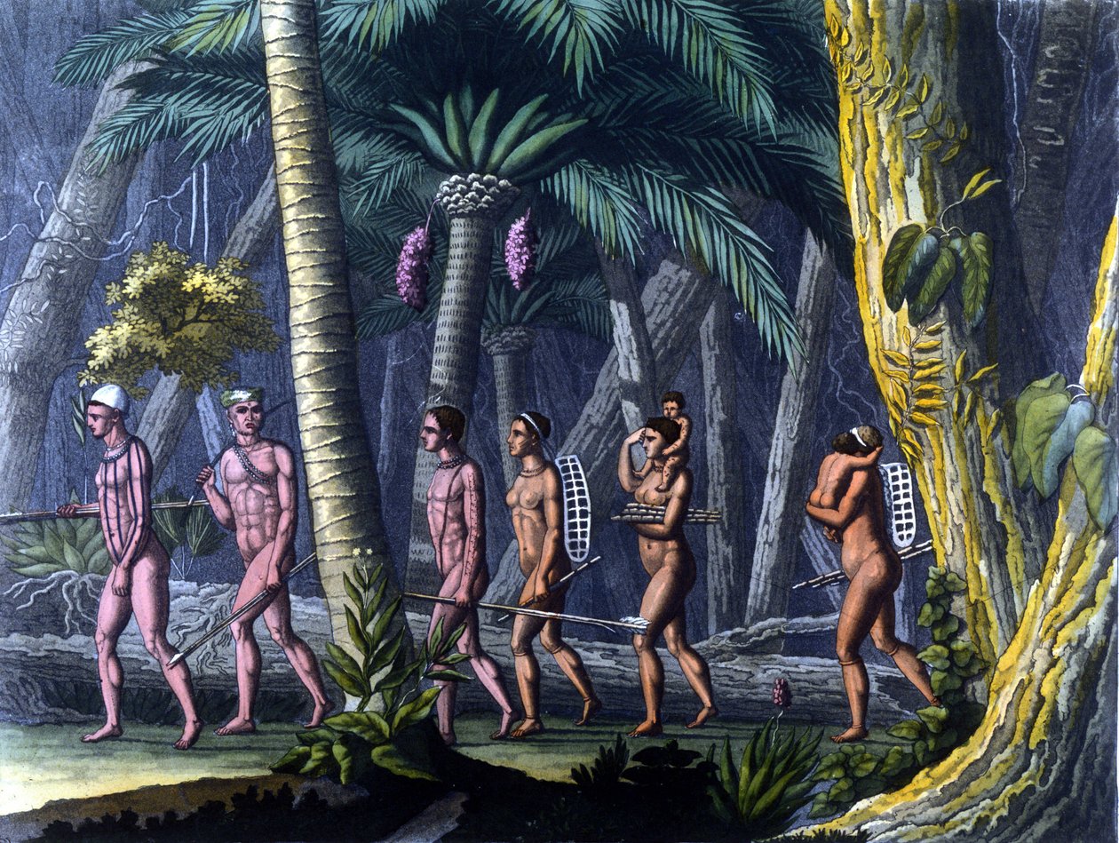 Indiens Puris dans la forêt (Brazílie) - v „“Le Kostým ancien et moderne““ od Ferrario, ed. Milán od Unknown artist