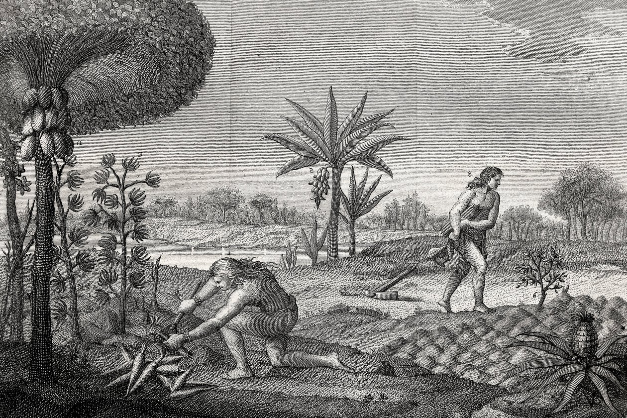Domorodí obyvatelé obdělávají půdu v povodí Orenoque v Kolumbii. Rytina 1780 od Unknown artist