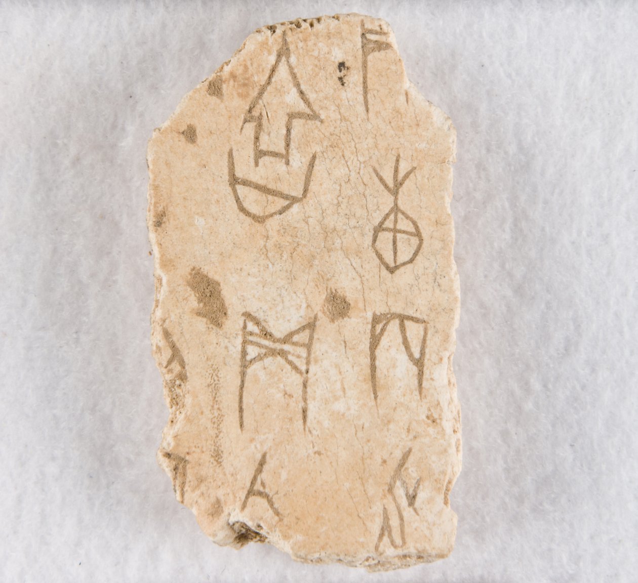 Vepsaný fragment kosti ("věštecká kost") od Unknown artist