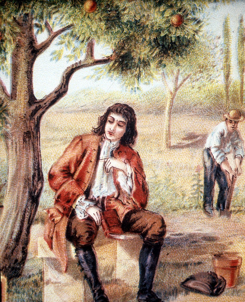 Isaac Newton (1642-1727), anglický matematik, fyzik a astronom, nachází teorii gravitace pozorováním pádu jabloně, což je ilustrace 19. století. od Unknown artist