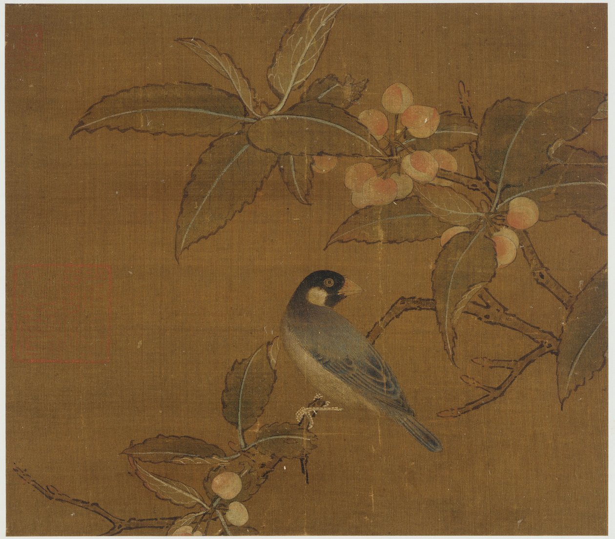 Java Sparrow na větvi bobule od Unknown artist