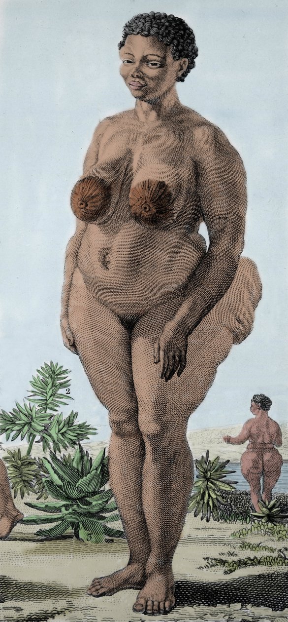 La Venus Hottentote, žena plemene Bochiman; (Hotentotská Venuše,) rytina z roku 1815. od Unknown artist