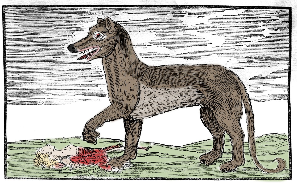 La bete du Gevaudan Rytina z „Kroniky svatého Jakuba“ od Unknown artist