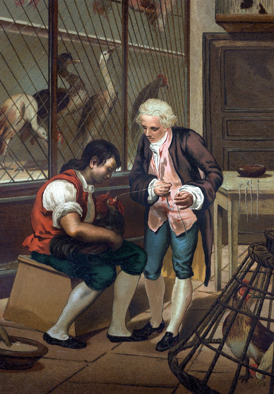 Lazzaro Spallanzani (nebo Spalanzani od Unknown artist
