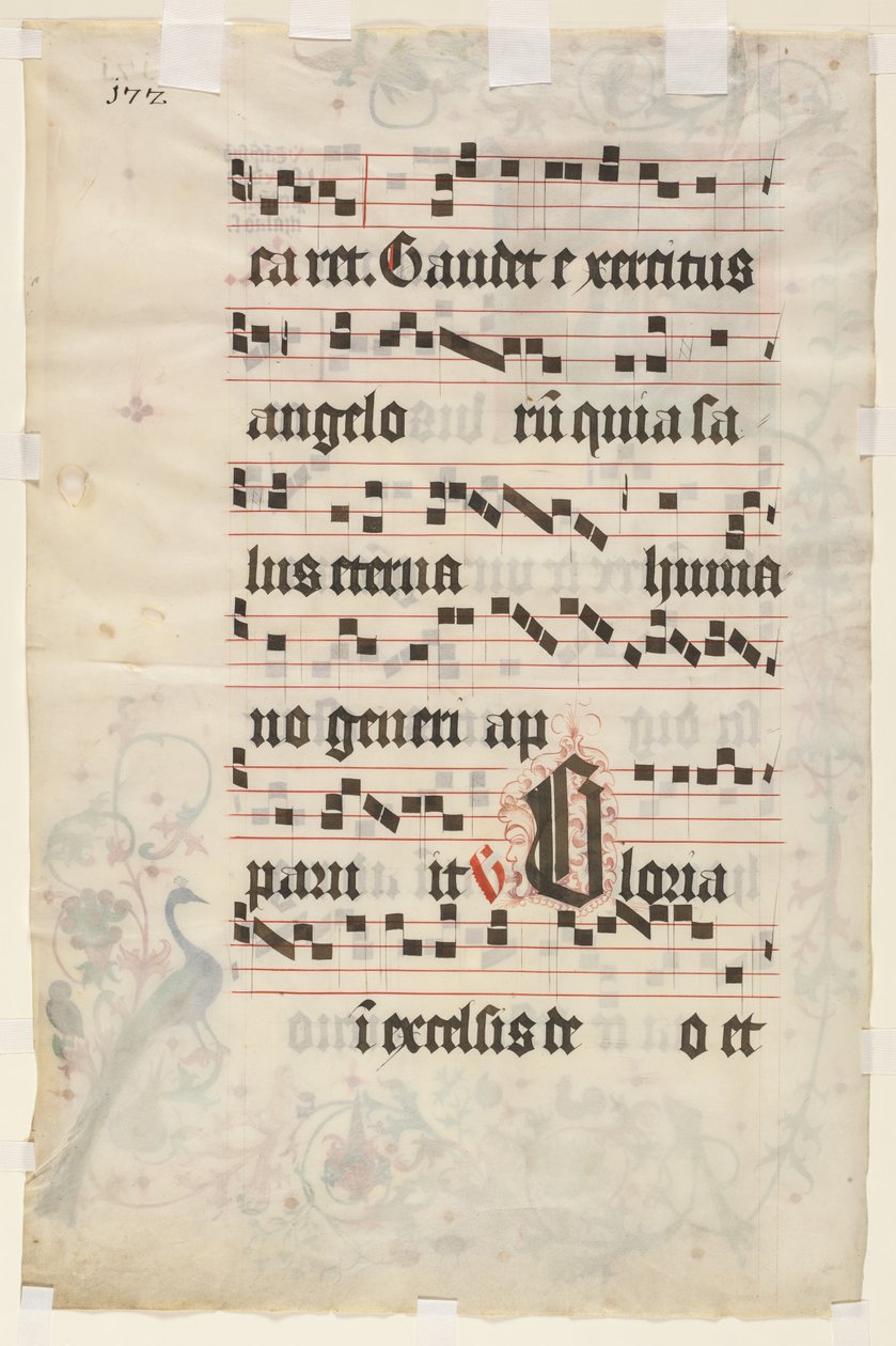List z antifonáře: Text (verze) od Unknown artist