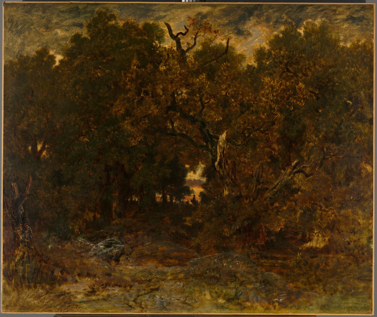 Odcházení z lesa, Fontainebleau: Zapadající slunce od Unknown artist