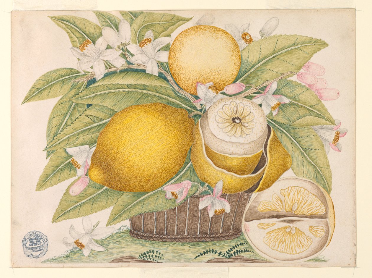 Citrony a citronové květy v košíku od Unknown artist