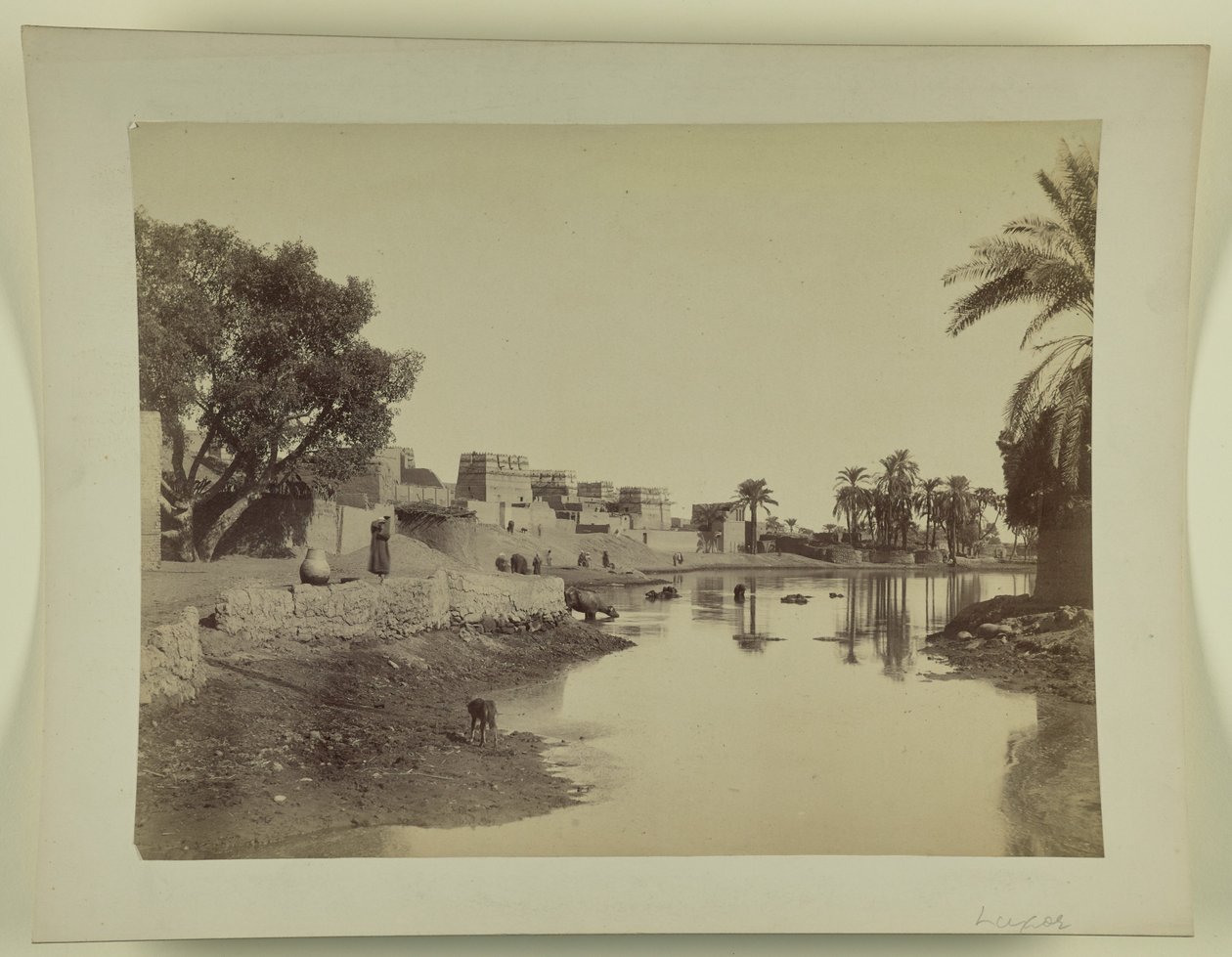 [Luxor] od Unknown artist