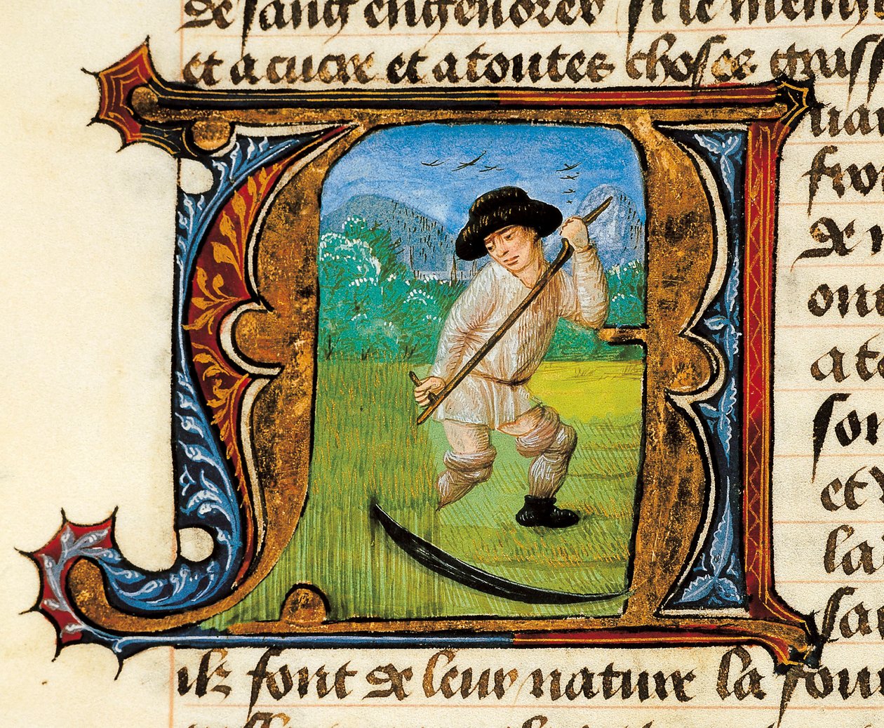 Medicína: rolník kosící pšenici. Miniatura převzatá z Pojednání o medicíně od Aldebrande de Florence (Aldebrando) od Unknown artist