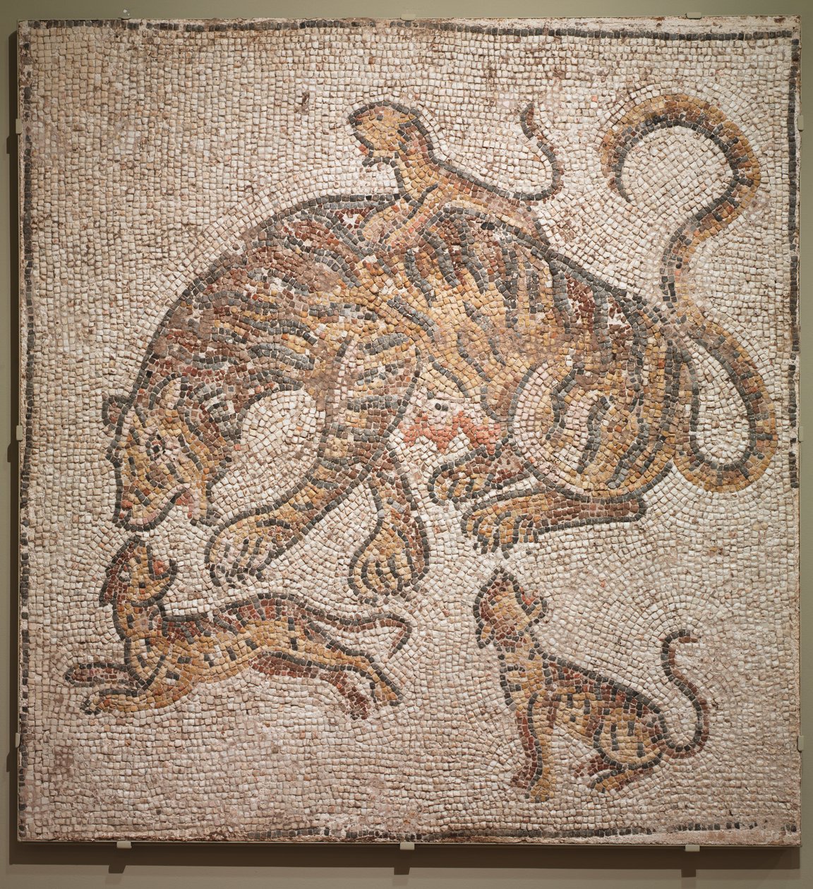 Mozaika tygřice a mláďat od Unknown artist