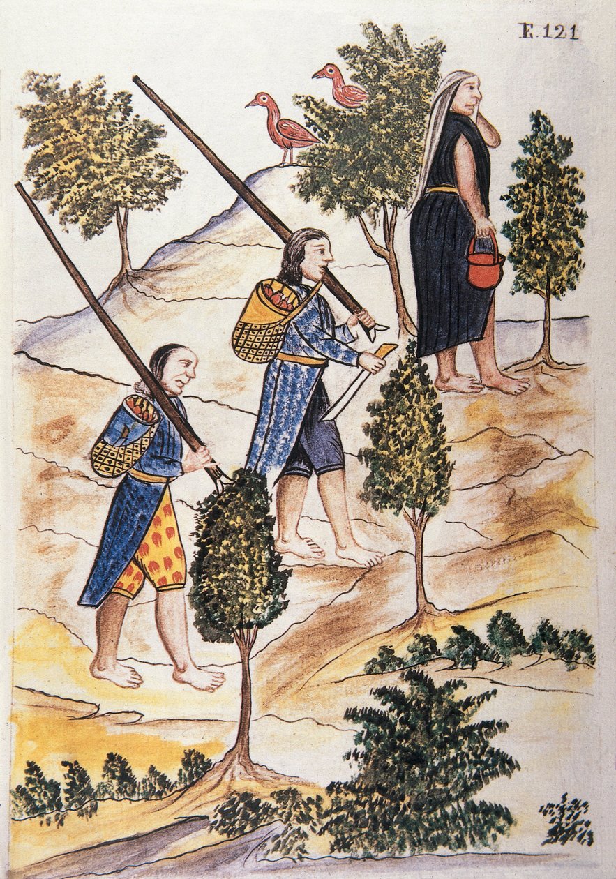 Motilones Indiáni jedoucí na lov, z knihy „Trujillo del Peru“ nebo „Códice Martínez Compañón“, od Baltazara Martineze Compañóna y Bujandy, biskupa z Trujillo (1782-1785) od Unknown artist