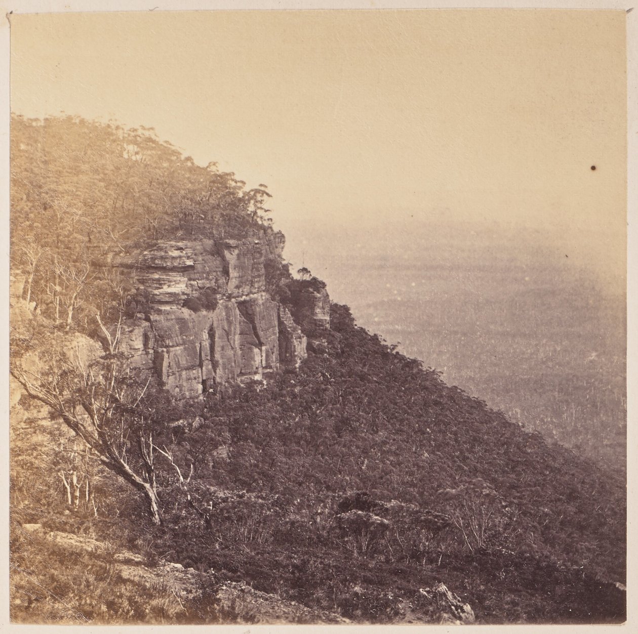 Mount Victoria od Unknown artist
