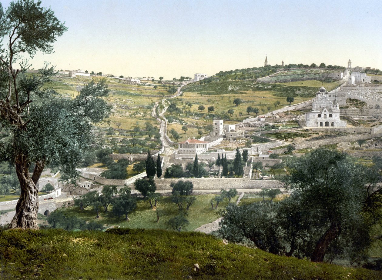 Olivová hora a Getsemani, Jeruzalém. Fotochrom v letech 1890-1900. od Unknown artist