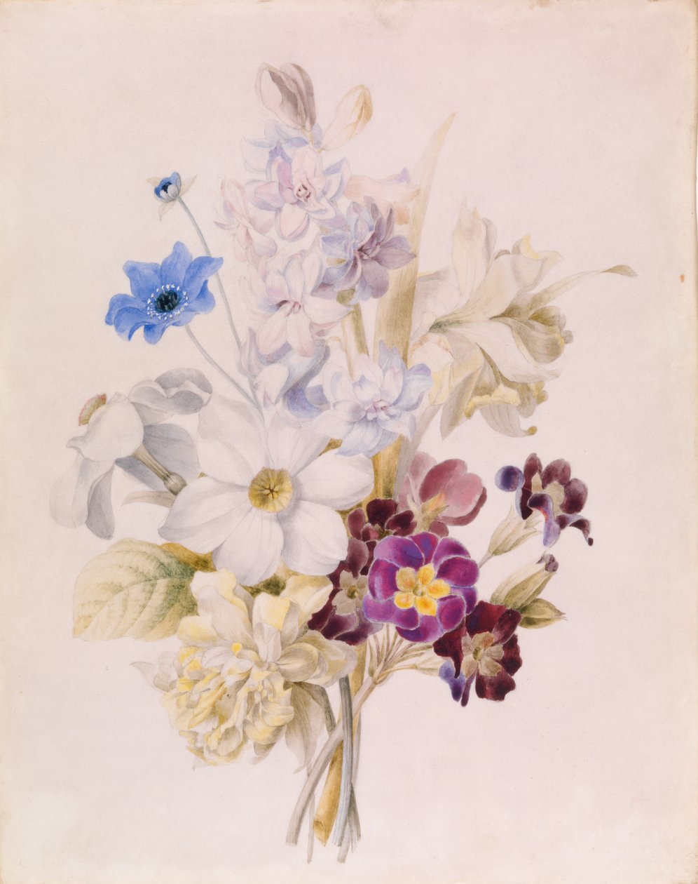 Narcis a jiné květiny od Unknown artist