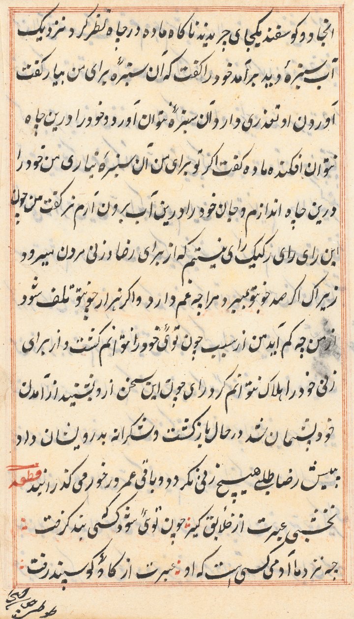 Stránka z Příběhů papouška (Tuti-nama): textová stránka od Unknown artist