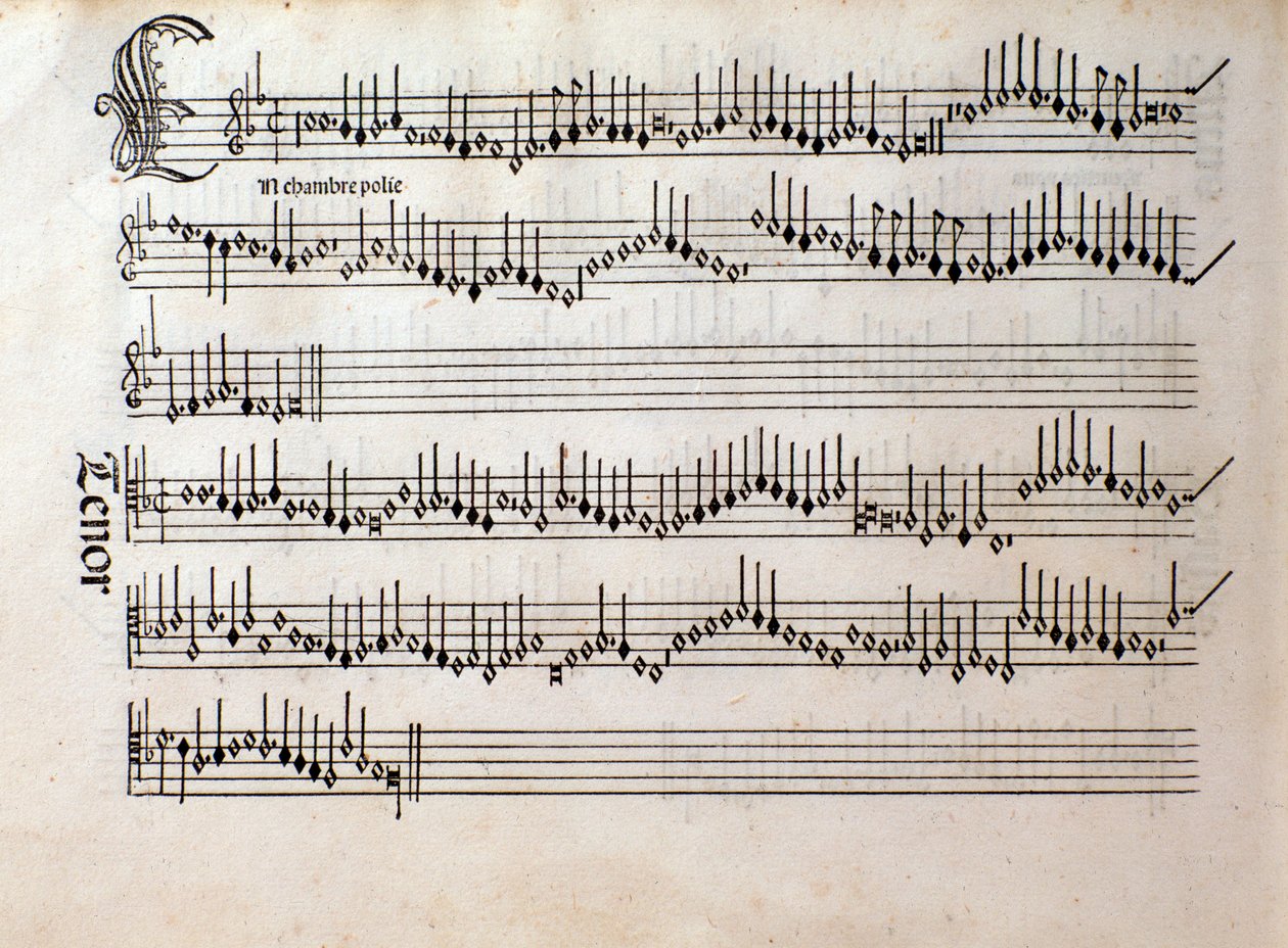 Strana hudební partitury Harmonice Musices Odhecaton od Ottaviana Petrucciho (1501) od Unknown artist