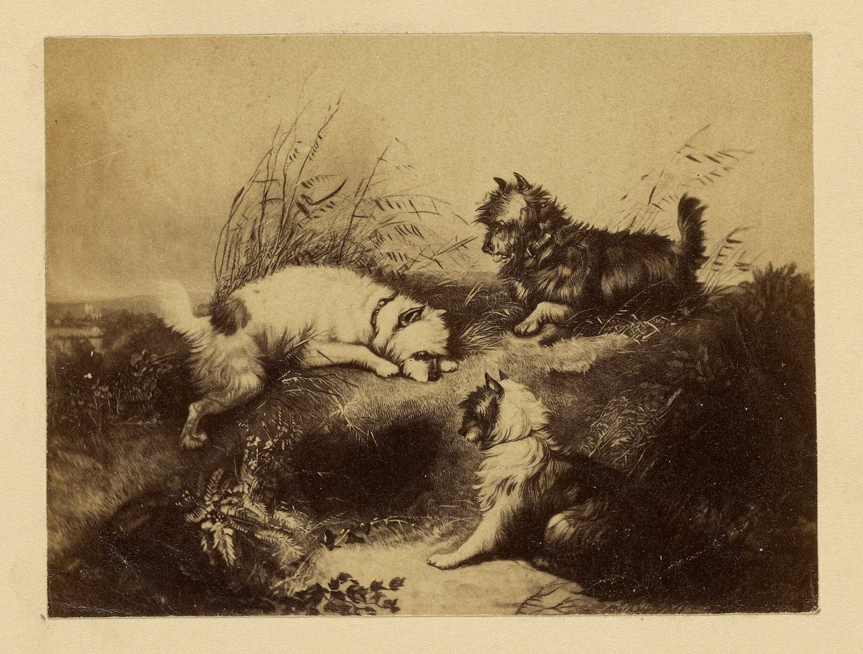 [Obraz psů od Charlese Tomkinse] od Unknown artist