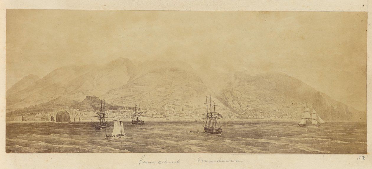 [Panorama přístavu, Funchal, Madeira] od Unknown artist