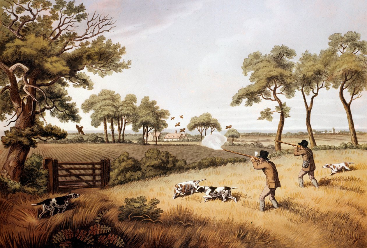 Scéna lovu koroptev: litografie Gien z 19. století, lovecké muzeum od Unknown artist