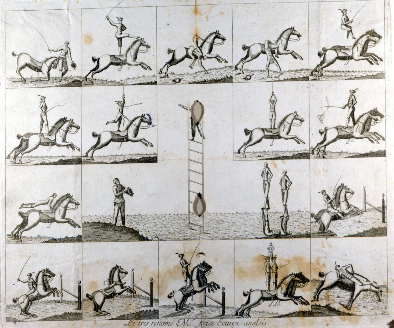 Deska 19 tisků znázorňujících zdatnost anglického voltigra pana Price. cca 1790 od Unknown artist