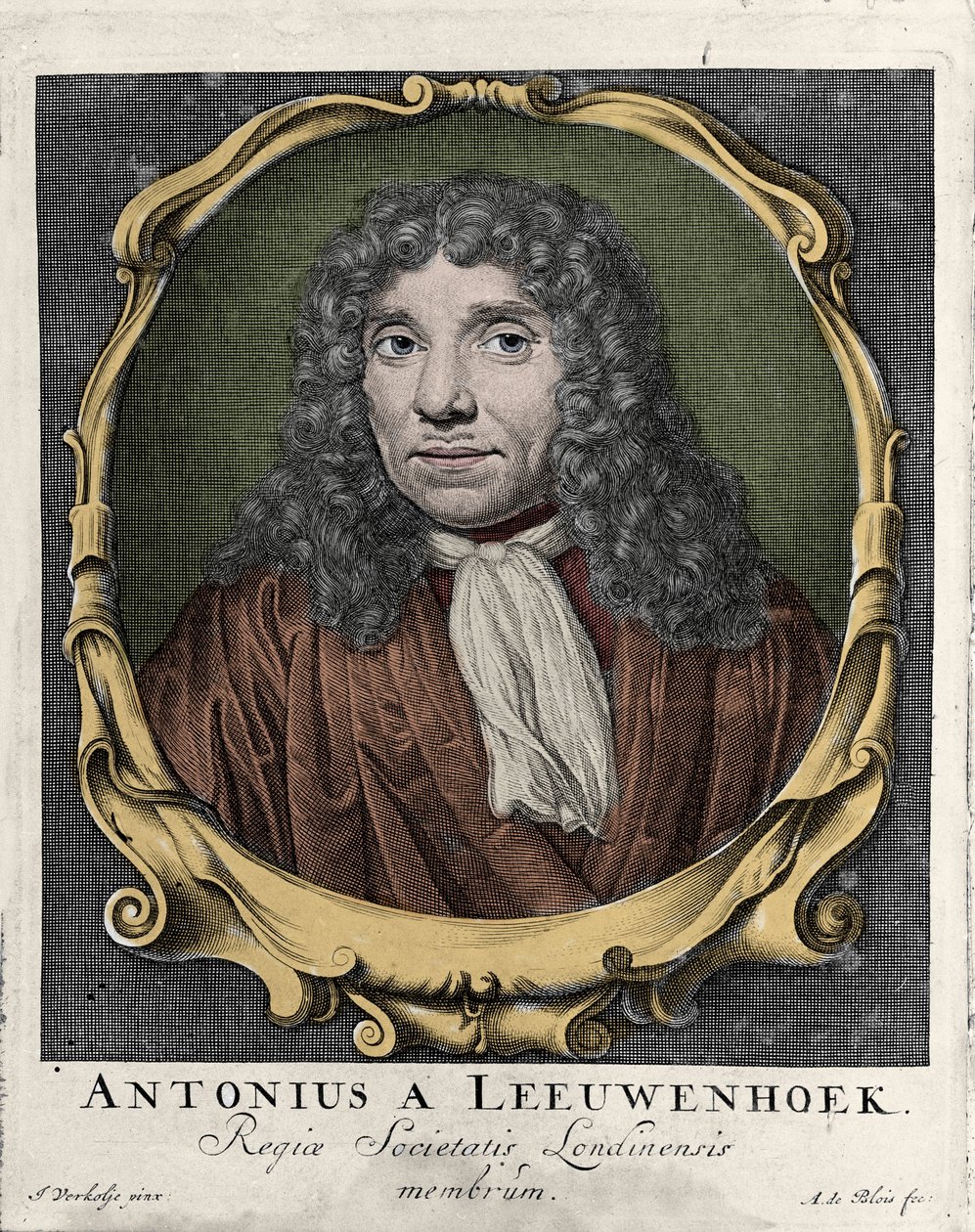 Portrét Antonie Van Leeuwenhoek nebo Anton van Leeuwenhoek, nebo Leeuwenhoek, nebo Leeuwenhoeck. Nizozemský přírodovědec (1632-1723). rytina z roku 1722. od Unknown artist