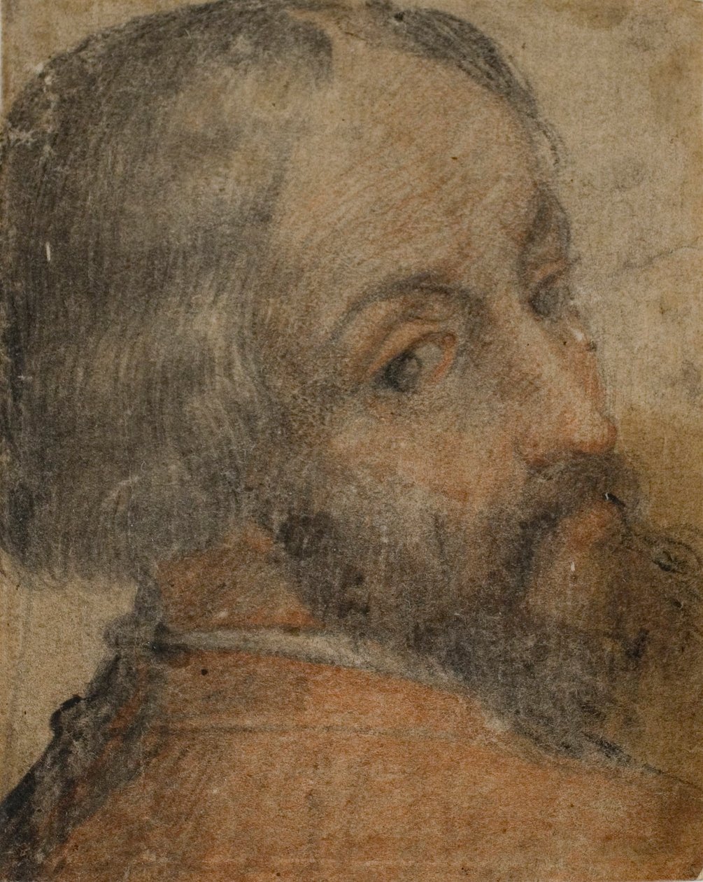 Portrét vousatého muže (Lodovico Ariosto) od Unknown artist