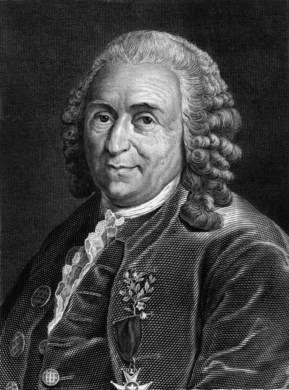 Portrét Carla von Linného švédský přírodovědec a spisovatel (1707 - 1778). Sd. rytina 19. století. od Unknown artist