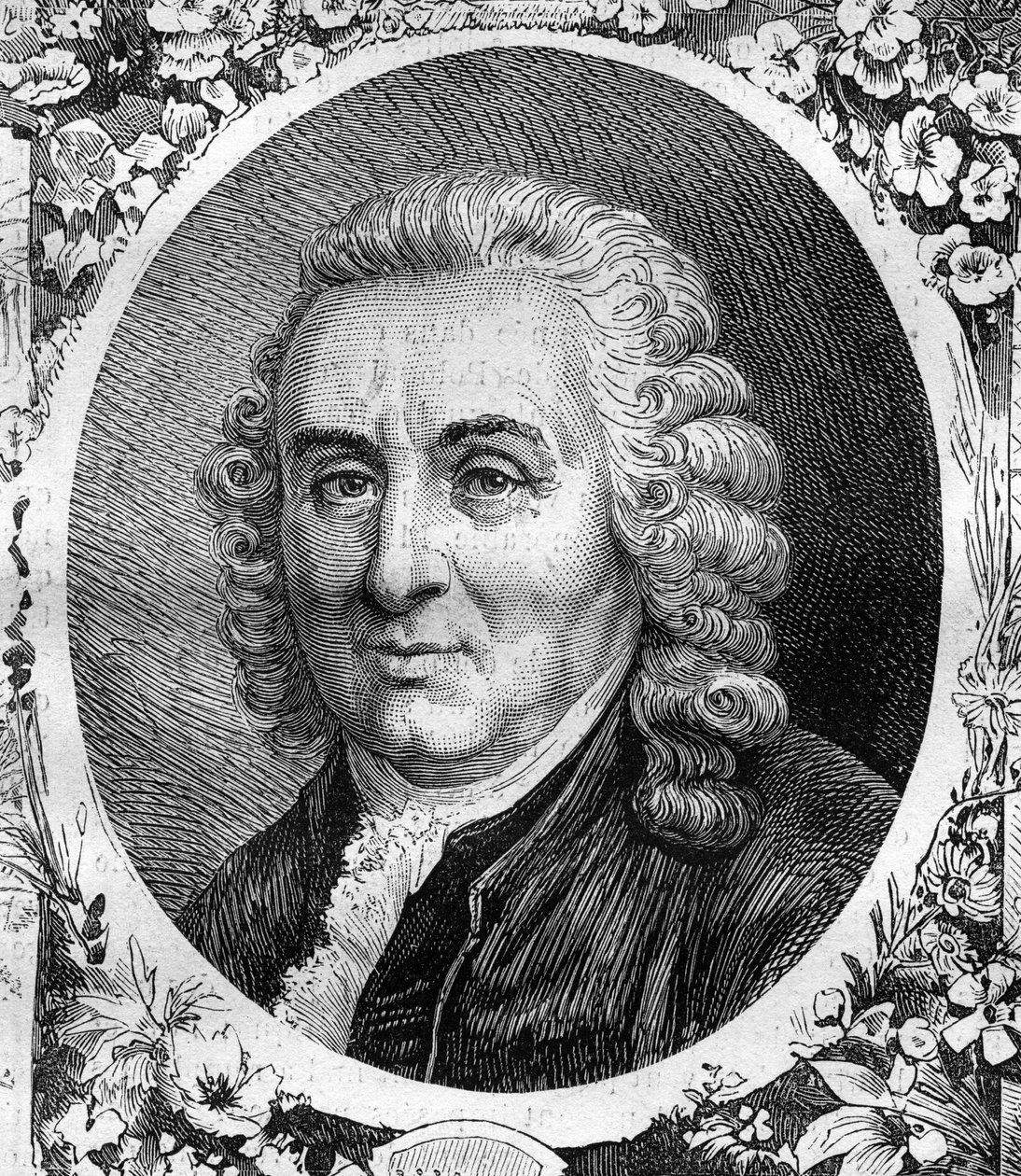 Portrét Charlese Linna (Carl von Linne, Carl Linnaeus) (1707-1778), švédský přírodovědec. Rytina z roku 1878. od Unknown artist