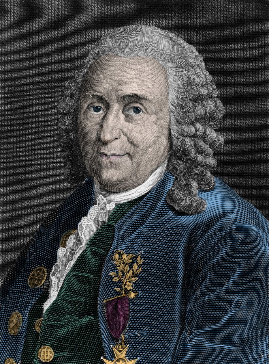 Portrét Charlese Linna (Carl von Linne, Linneus 1707-1778), švédského přírodovědce. Rytina 19. století. od Unknown artist